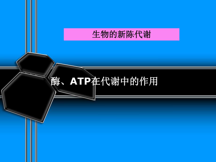 酶、ATP在代谢中的作用.ppt_第1页