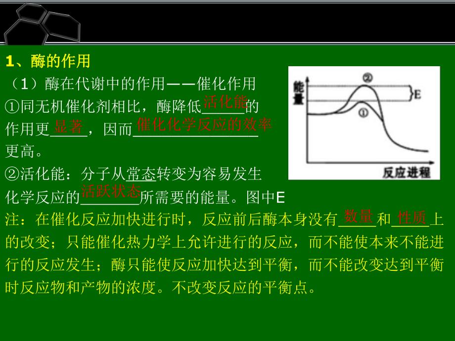 酶、ATP在代谢中的作用.ppt_第2页