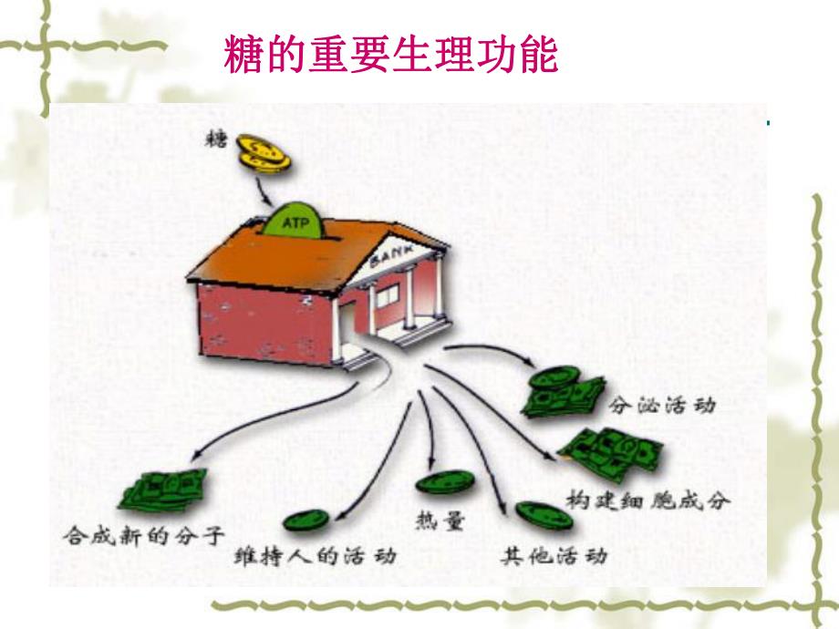 临床常用的生化免疫检查临床医学.ppt_第3页