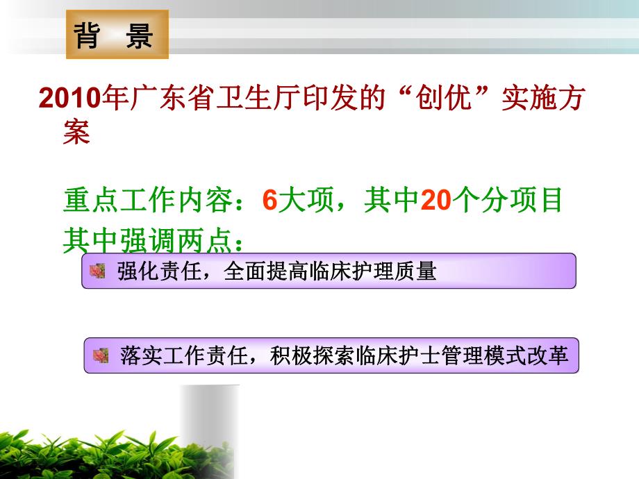 责任护士在优质护理服务过程中能....ppt_第3页