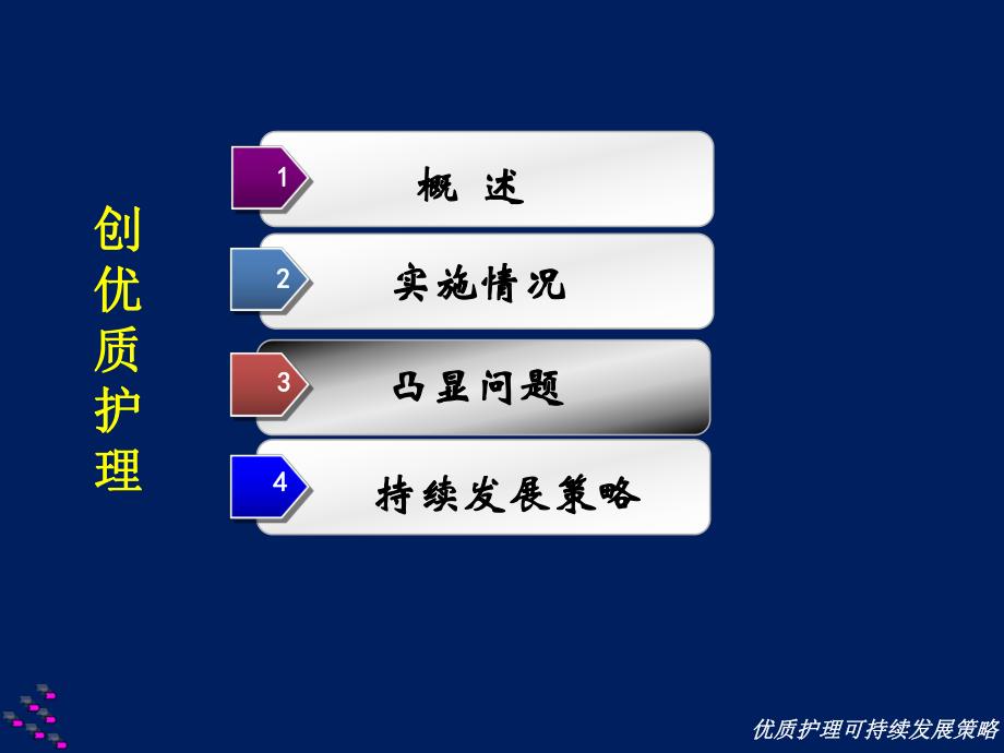 优质护理服务可持续发展策略K.ppt_第2页