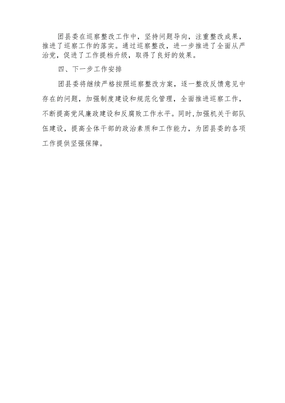 团县委巡察反馈问题整改情况报告.docx_第3页