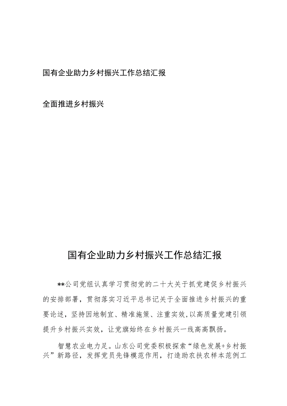 国有企业助力乡村振兴工作总结汇报和全面推进乡村振兴.docx_第1页