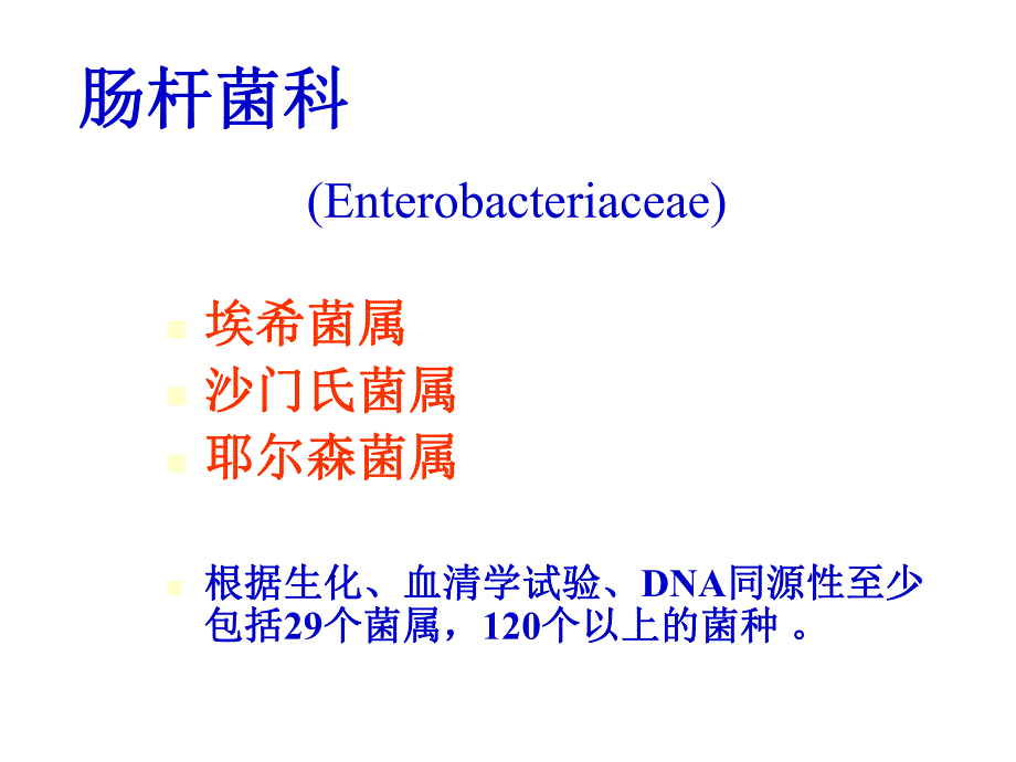 教学PPT肠科杆菌.ppt_第1页