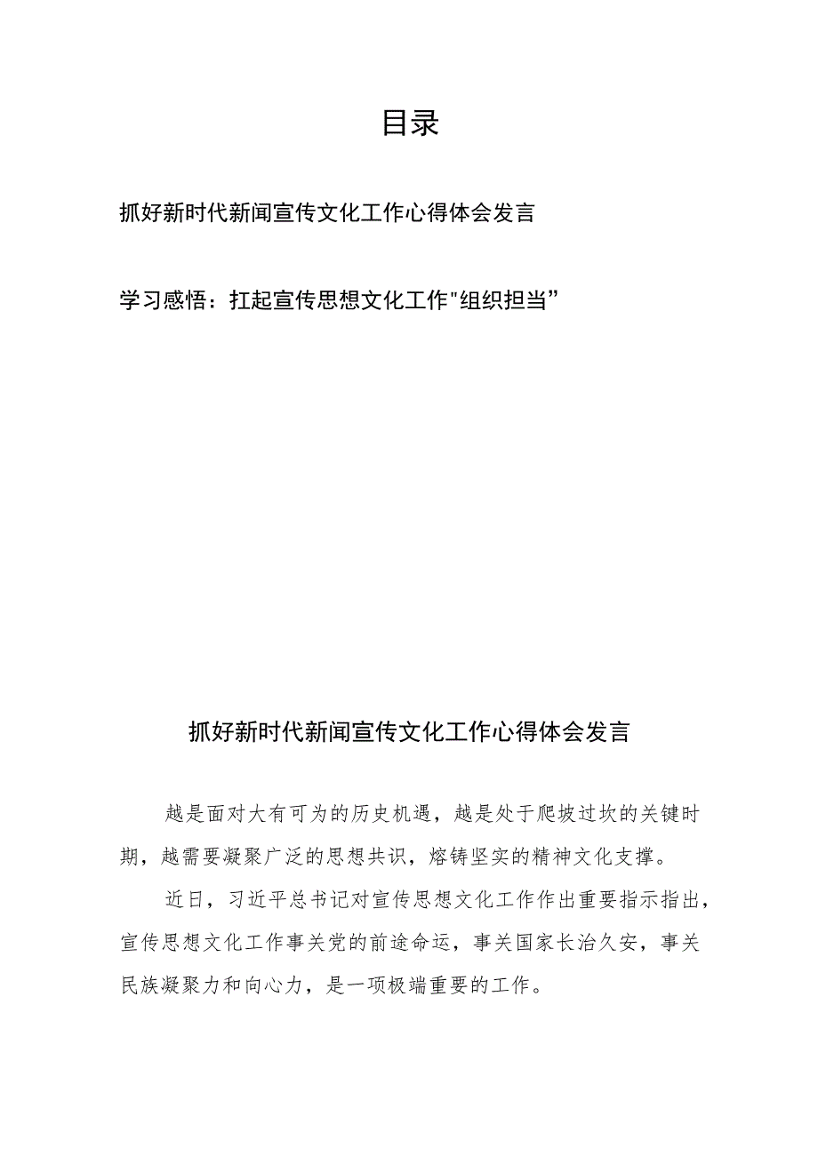 抓好新时代新闻宣传文化工作心得体会发言和学习感悟：扛起宣传思想文化工作“组织担当”.docx_第1页