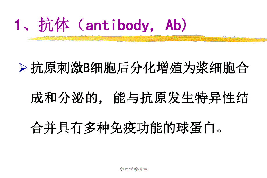 抗体的种类.ppt_第2页