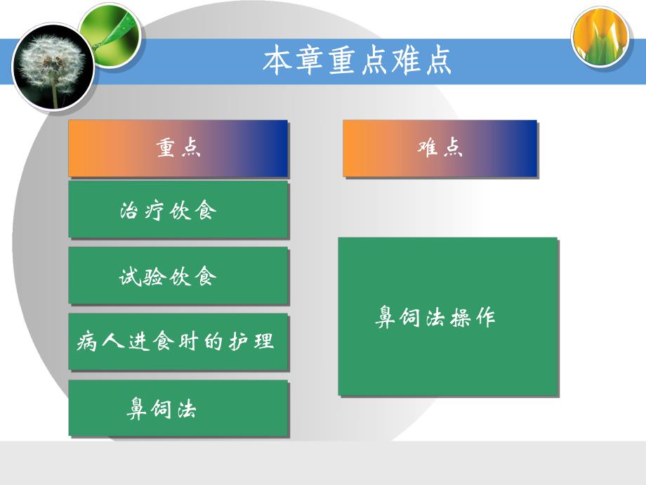 护理学基础 第13章 营养与饮食.ppt.ppt_第2页