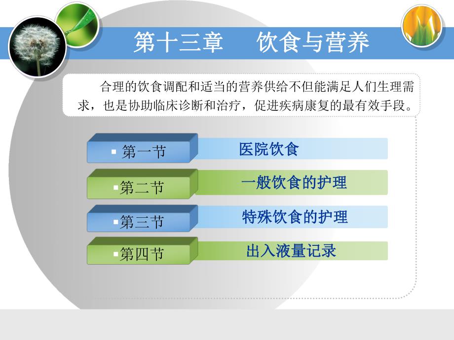 护理学基础 第13章 营养与饮食.ppt.ppt_第3页