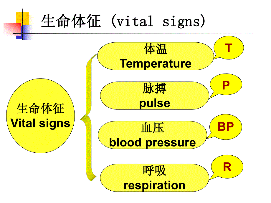 生命体征的评估与护理1.ppt_第2页