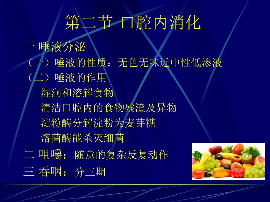 生理学消化和吸收.ppt_第3页