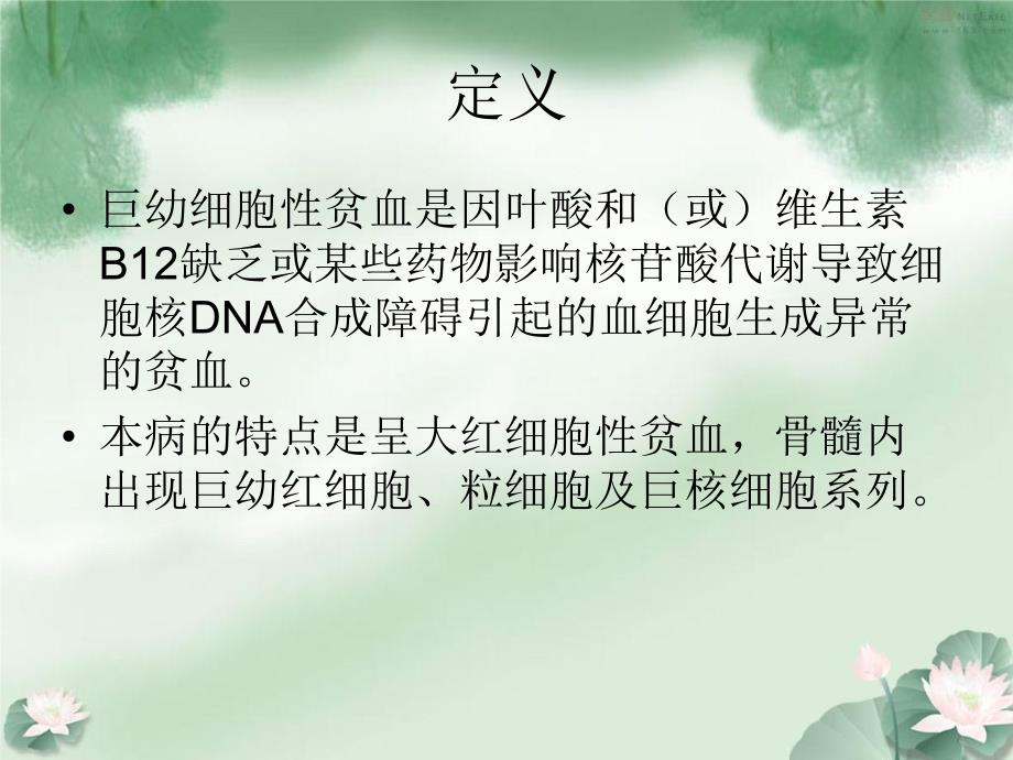 巨幼红细胞性贫血诊断和治疗.ppt_第2页