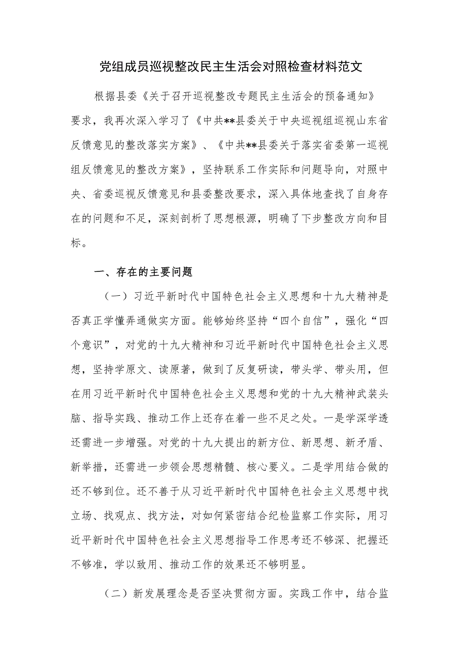 党组成员巡视整改民主生活会对照检查材料范文.docx_第1页