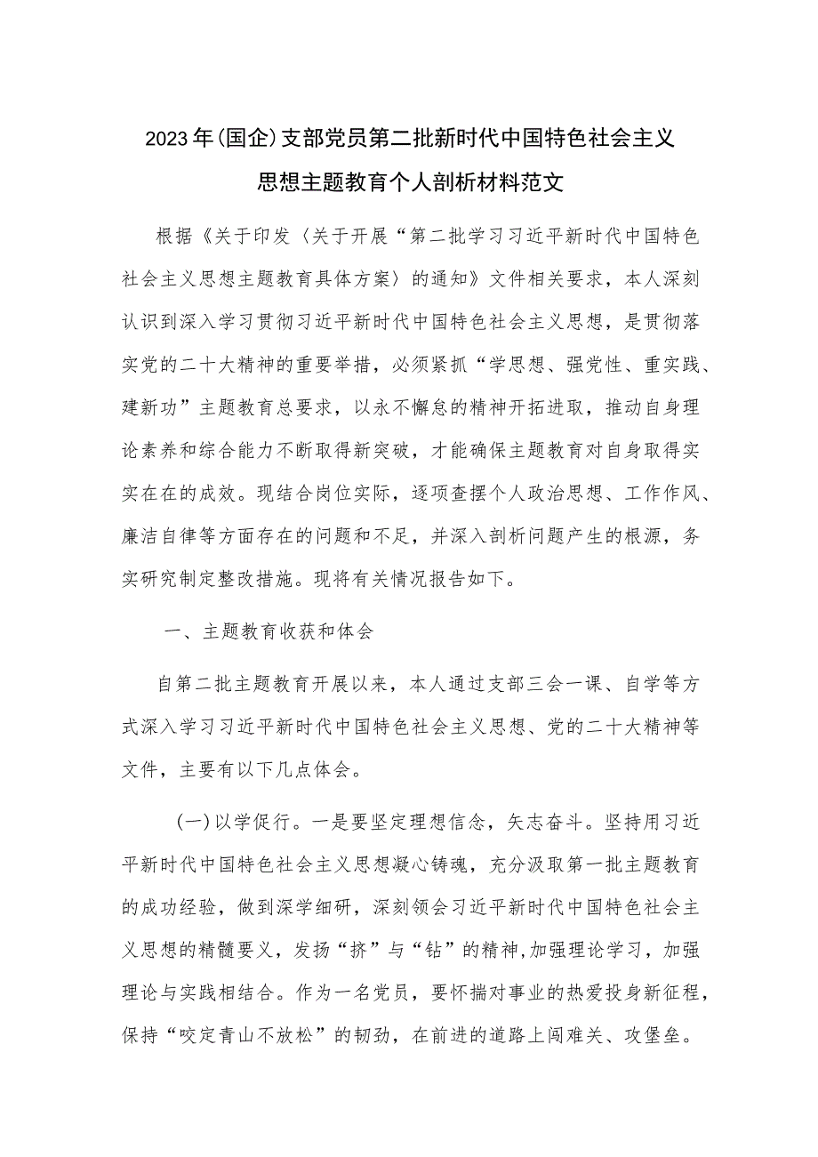 2023年（国企）支部党员第二批新时代中国特色社会主义思想主题教育个人剖析材料范文.docx_第1页