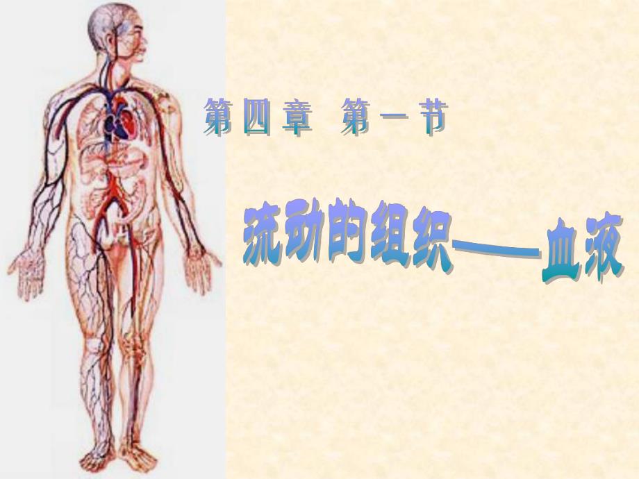 流动的组织血液.ppt_第1页