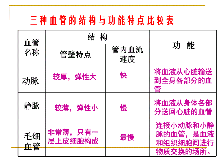 人体的血液循环.ppt_第3页