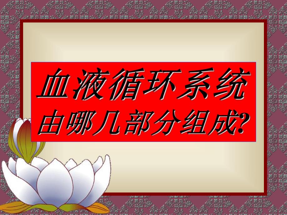 血液循环系统.ppt_第2页