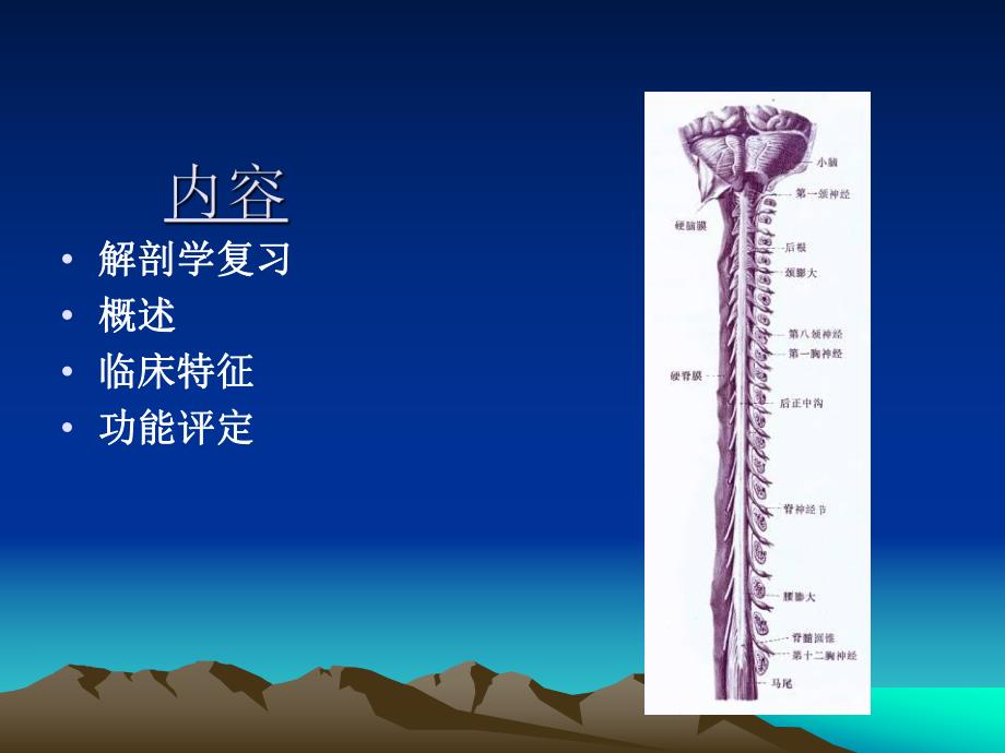 截瘫及四肢瘫评定.ppt_第2页