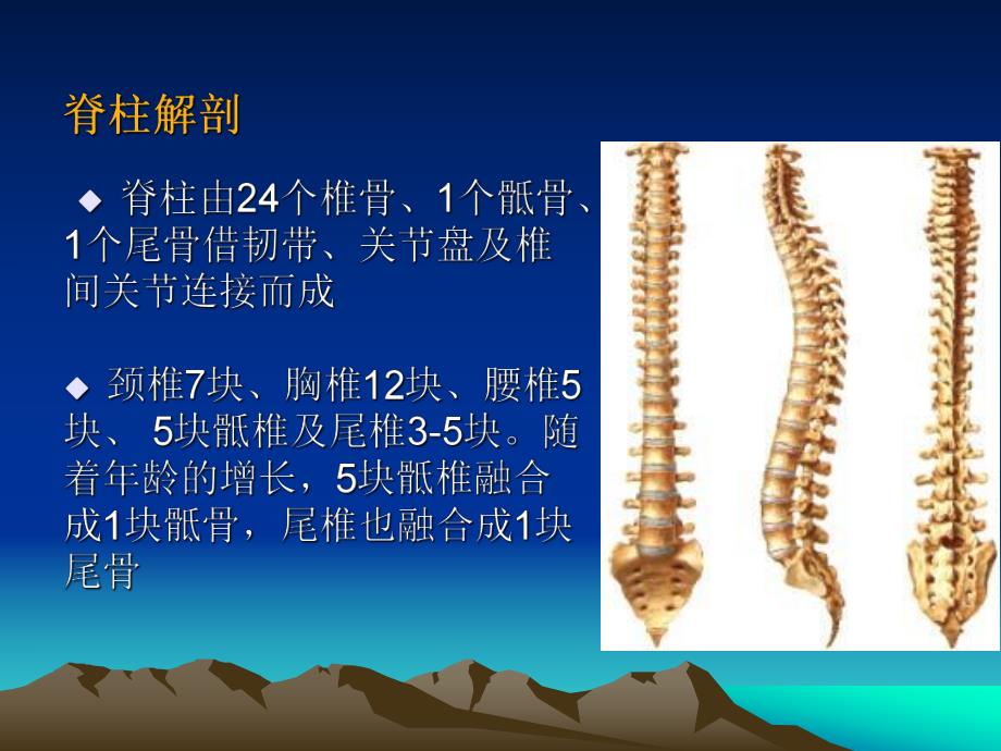 截瘫及四肢瘫评定.ppt_第3页