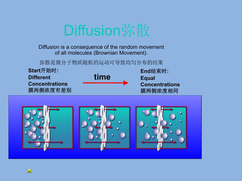 血液透析机报警操作.ppt_第2页