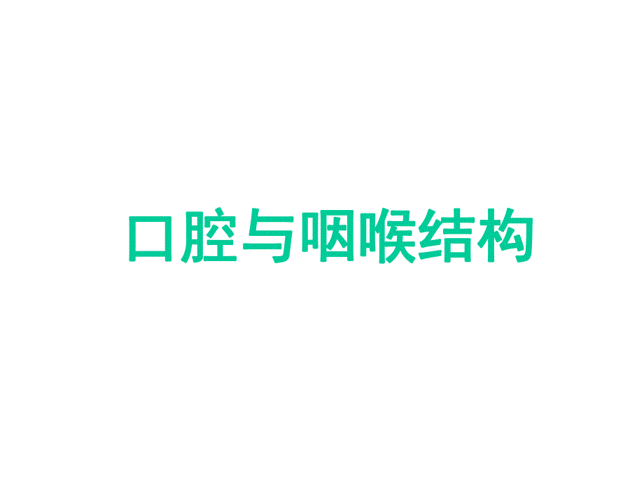 吞咽障碍的评估与治疗.ppt_第3页