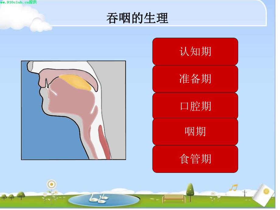 吞咽障碍的护理演示文稿1.ppt_第3页