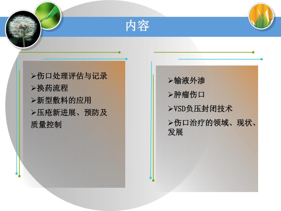 伤口专科培训修改.ppt.ppt_第2页