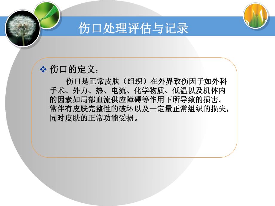 伤口专科培训修改.ppt.ppt_第3页