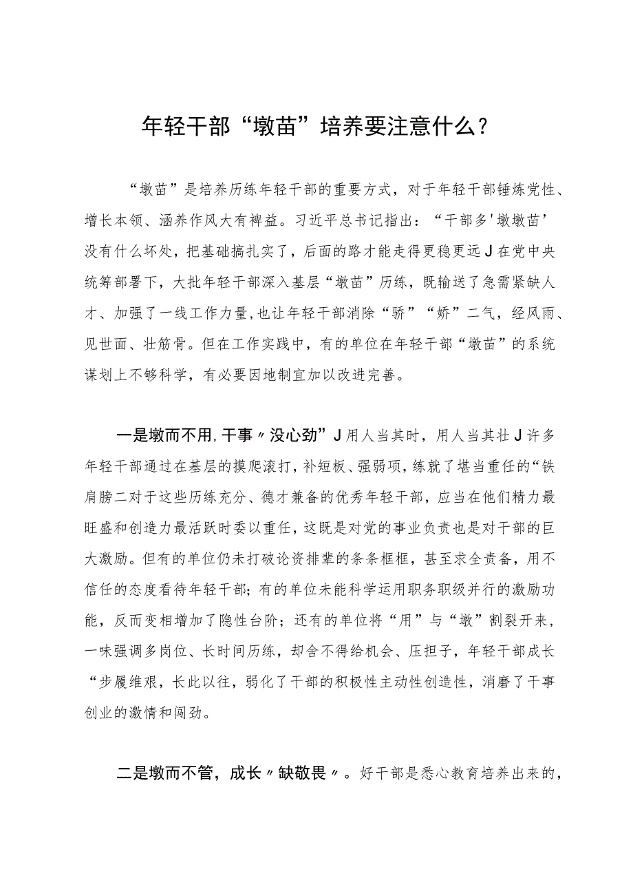 在年轻干部队伍建设专题研讨会上的发言.docx_第1页