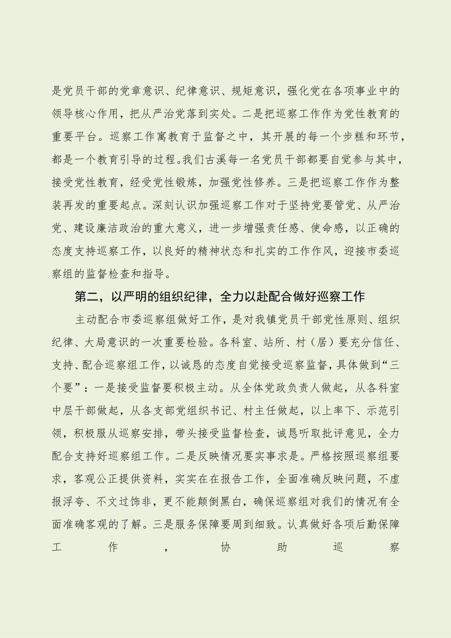 乡镇在巡察工作动员会表态发言（最新分享）.docx_第2页