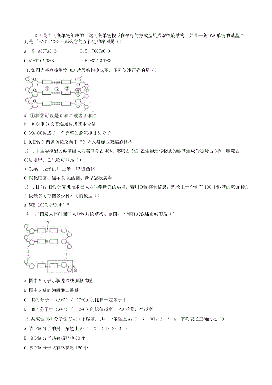 第二节DNA的结构.docx_第2页