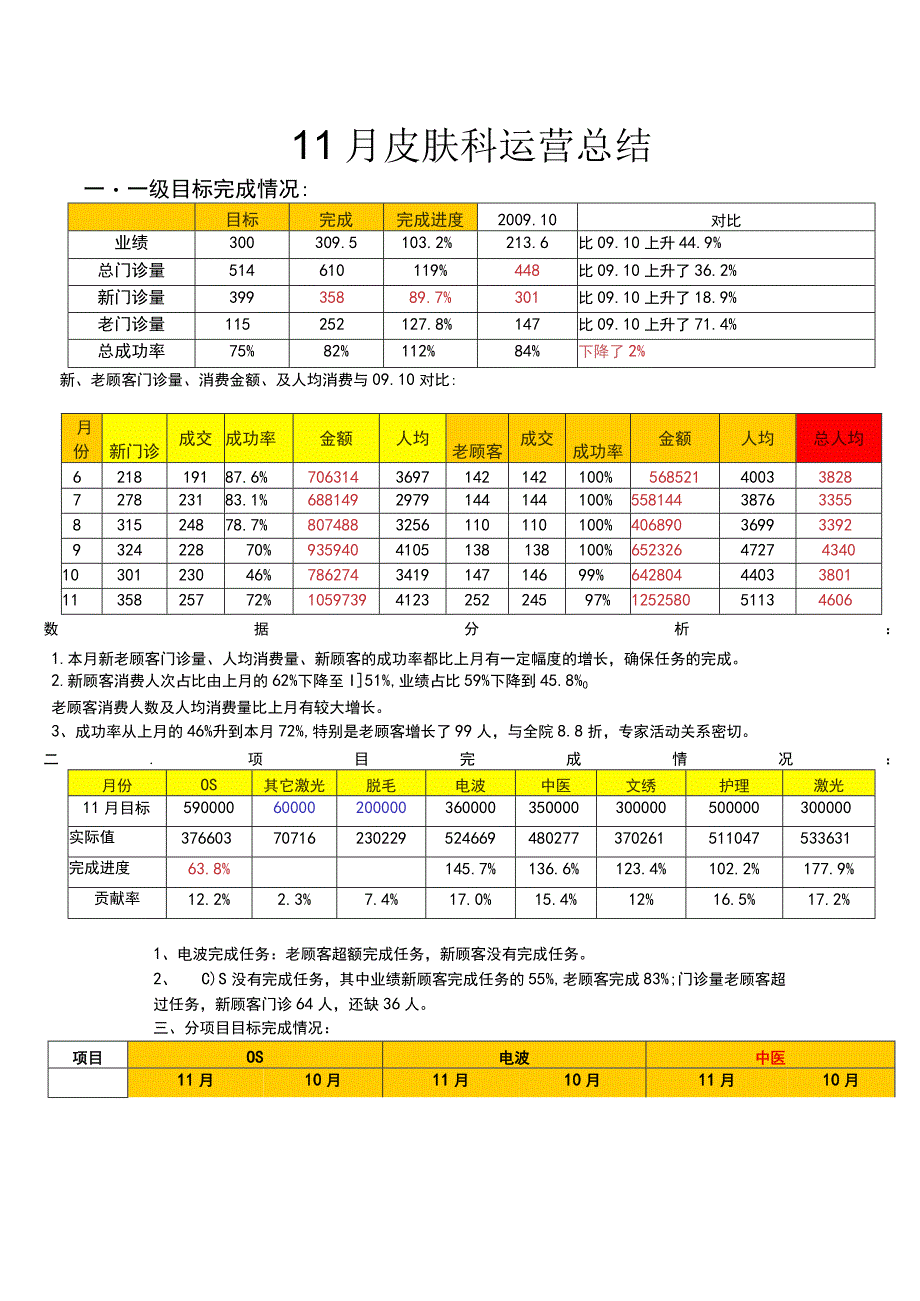 医美皮肤美容11月运营总结计划.docx_第1页