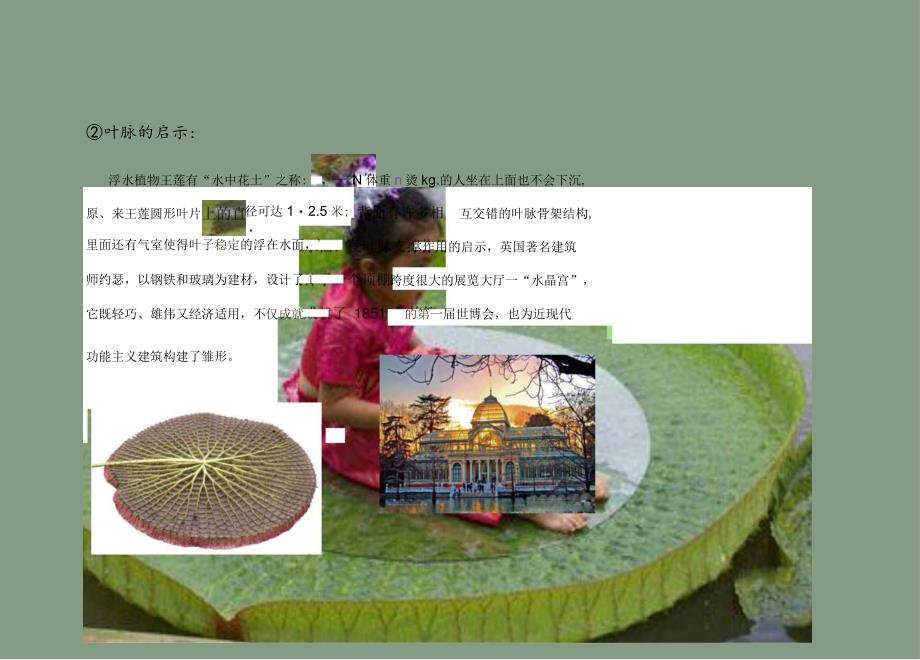 植物仿生学实例.docx_第2页