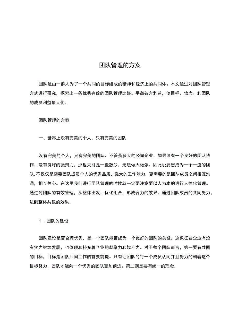 团队管理的方案.docx_第1页