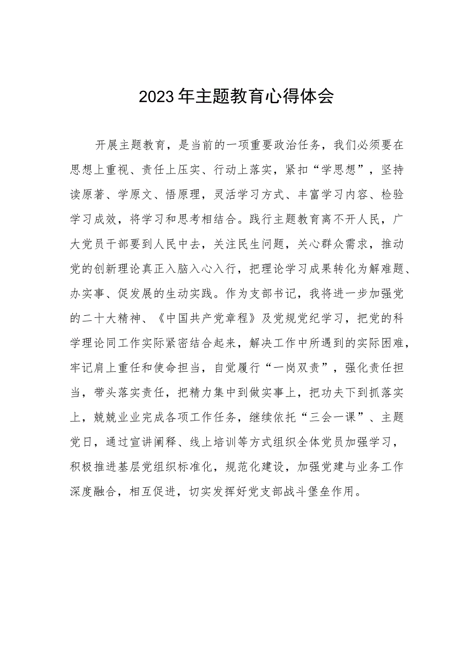 村长2023年第二批主题教育学习心得体会(五篇).docx_第1页