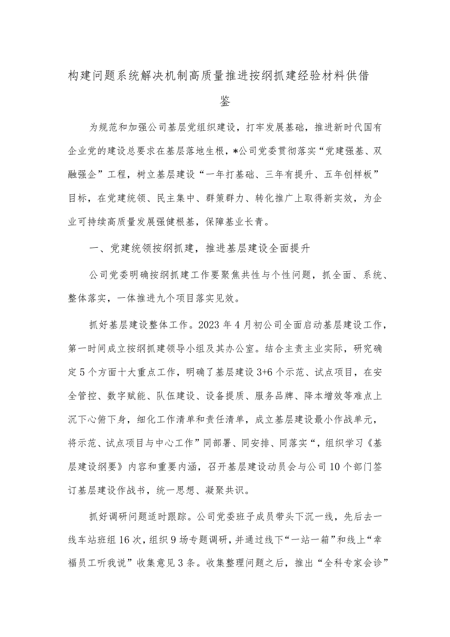 构建问题系统解决机制 高质量推进按纲抓建经验材料供借鉴.docx_第1页