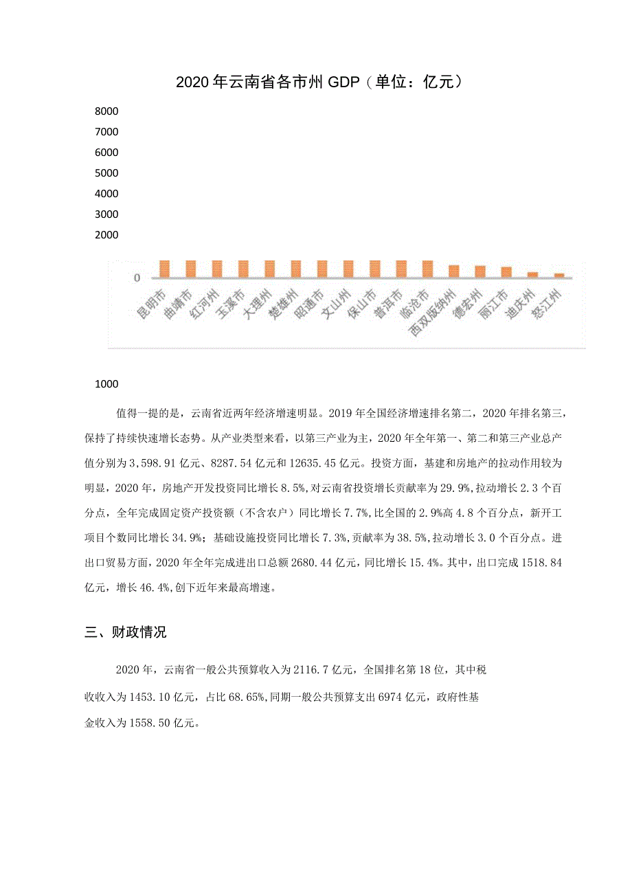 债务风险自评报告.docx_第3页