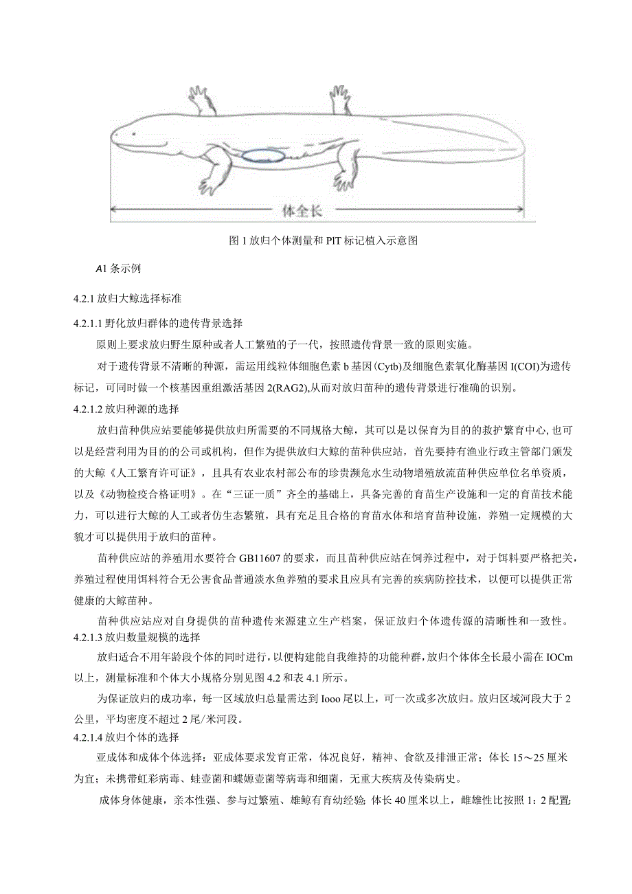 人工繁育中国大鲵野化放归技术规程.docx_第2页