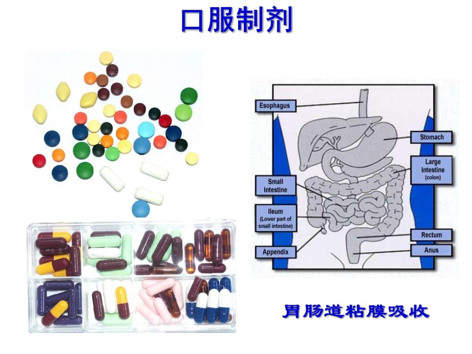 粘膜给药系统.ppt_第3页