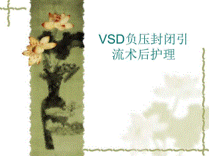 VSD负压引流术护理.ppt