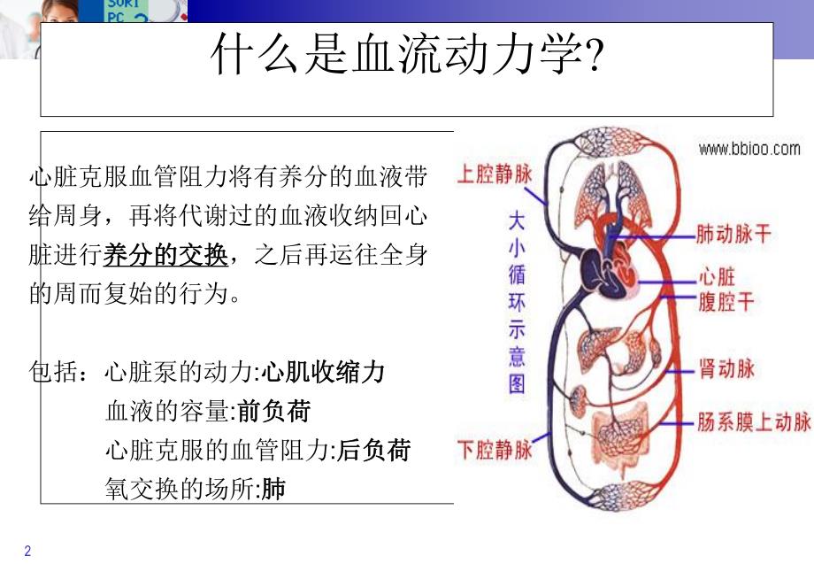 PiCCO参数的临床意义.ppt_第2页