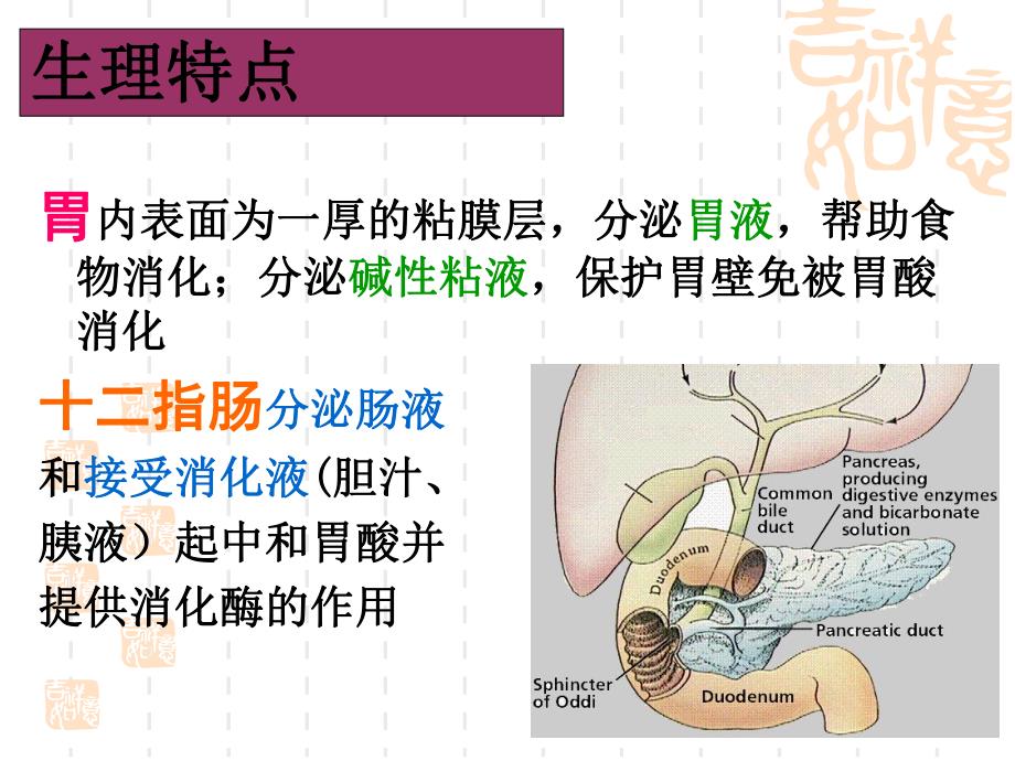 胃十二指肠溃疡.ppt_第3页