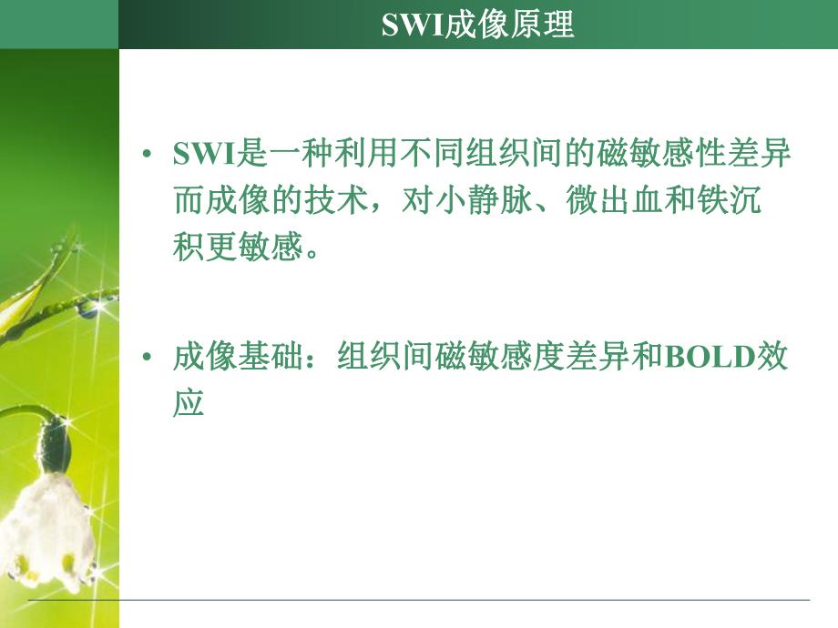 SWI的临床应用.ppt_第3页