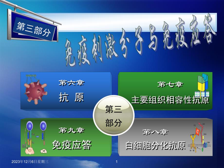 粘附分子和白细胞分化抗原.ppt_第1页