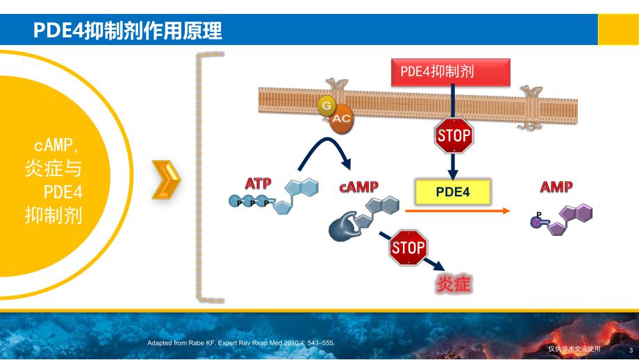 磷酸二酯酶4抑制剂应用于亚洲人群慢阻肺治疗的最新研究.ppt_第3页