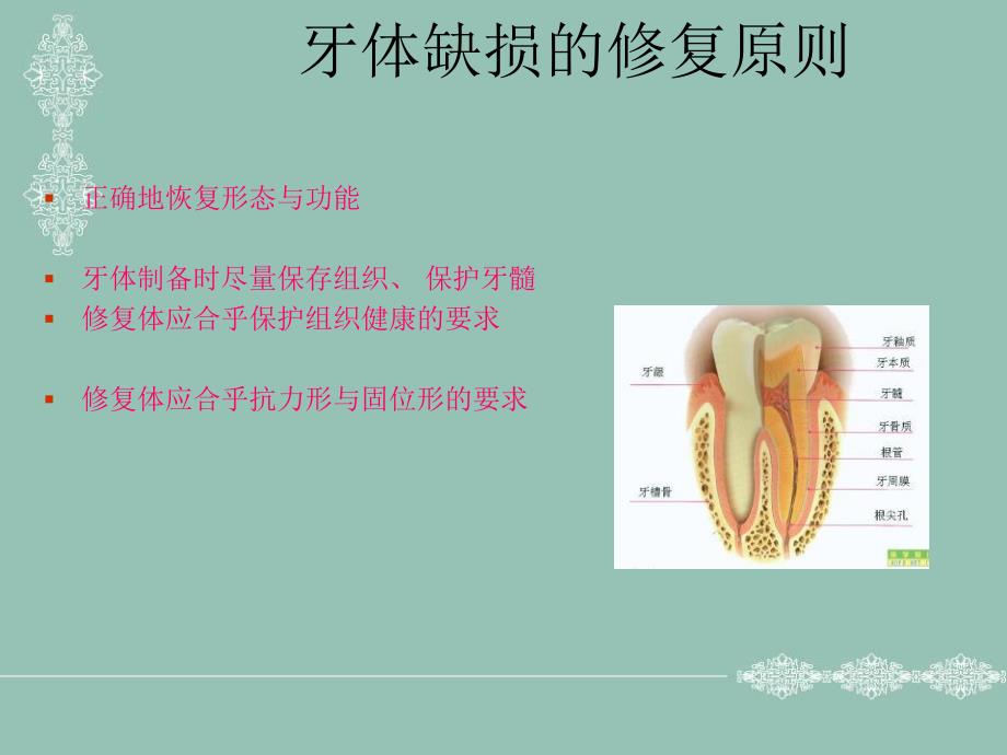 牙体缺损的修复原则.ppt_第2页