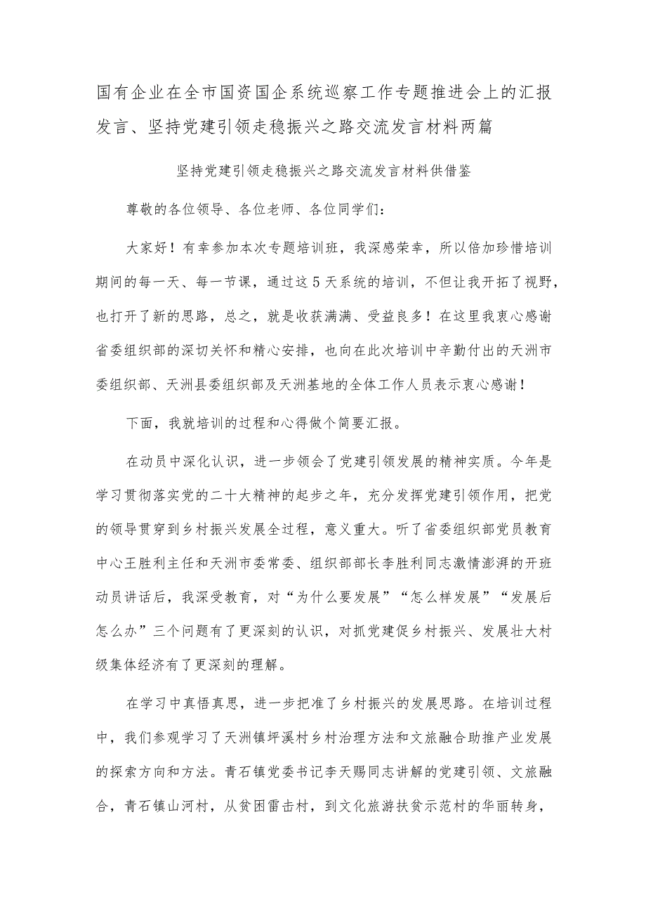 国有企业在全市国资国企系统巡察工作专题推进会上的汇报发言、坚持党建引领 走稳振兴之路交流发言材料两篇.docx_第1页