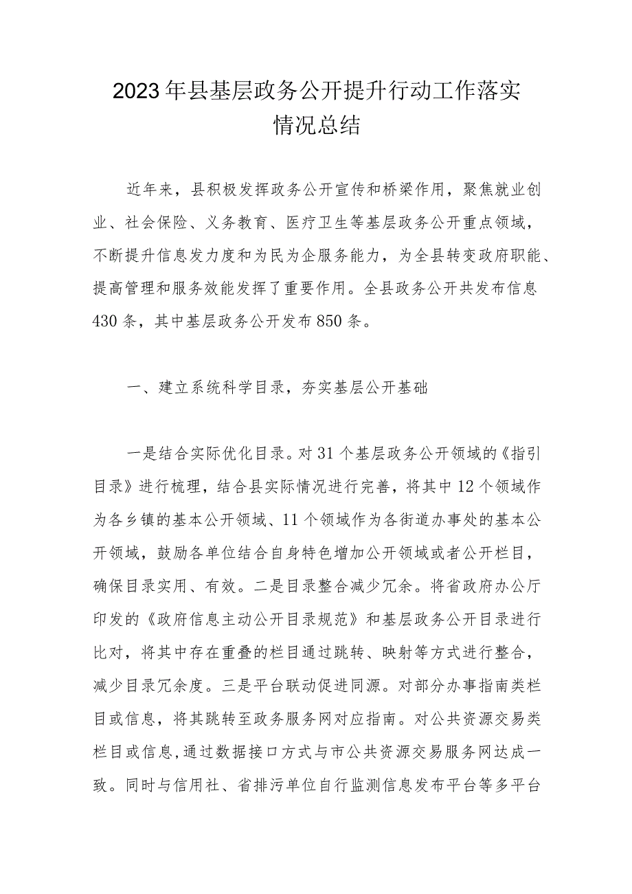 2023年县基层政务公开提升行动工作落实情况总结.docx_第1页