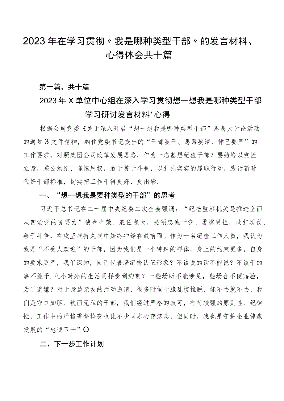 2023年在学习贯彻“我是哪种类型干部”的发言材料、心得体会共十篇.docx_第1页