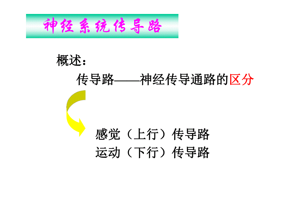 人体解剖学临床传导路.ppt_第3页