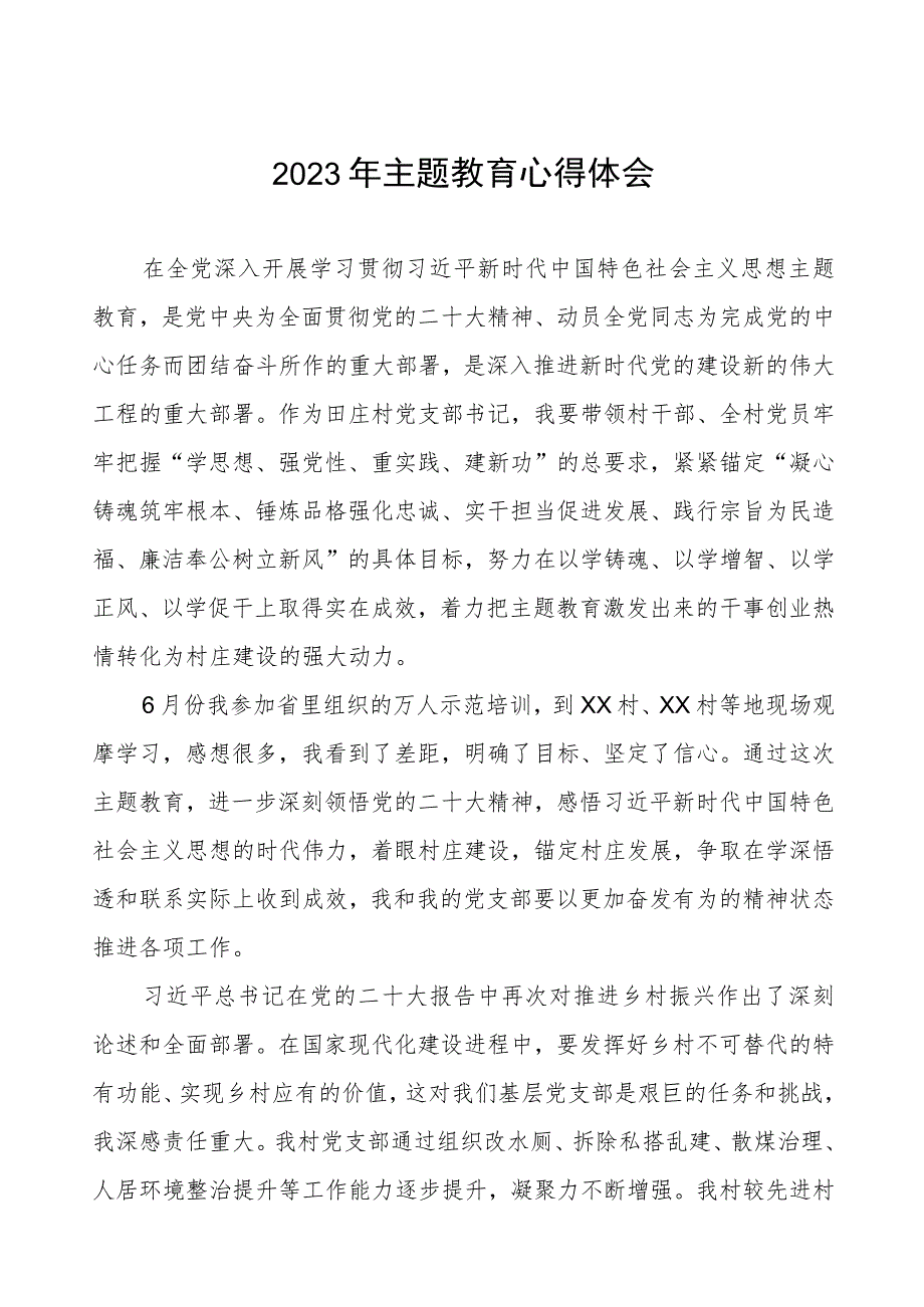 村支部书记关于2023年第二批主题教育心得体会(九篇).docx_第1页